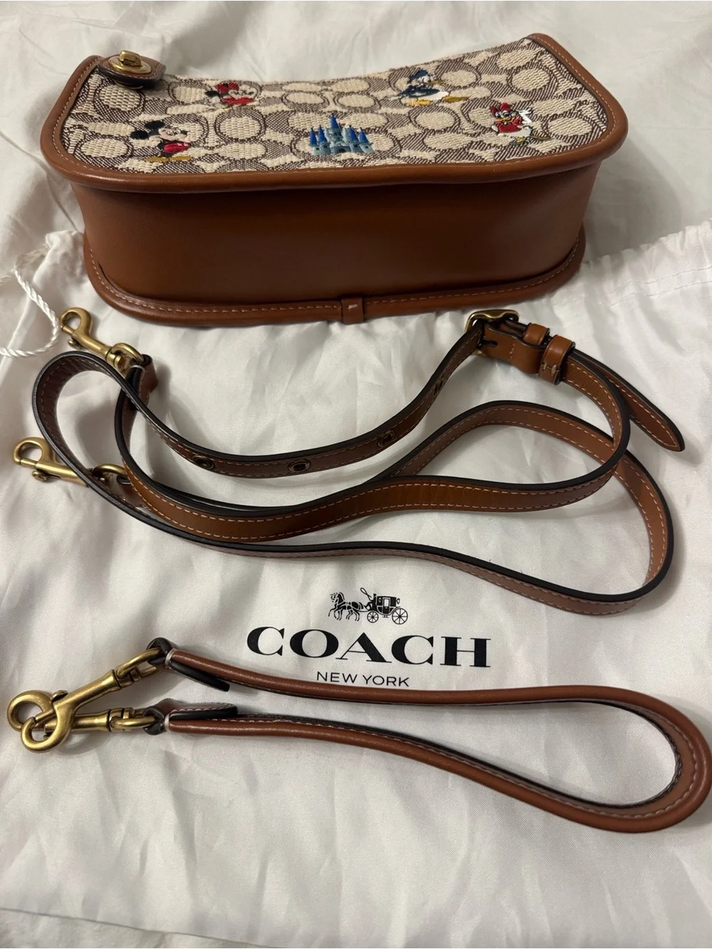 Disney x Coach 50th anniversary crossbody